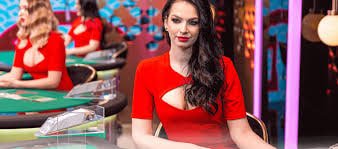 Promosi cashback mingguan TAR501 hingga 10% untuk semua permainan live casino dan slot